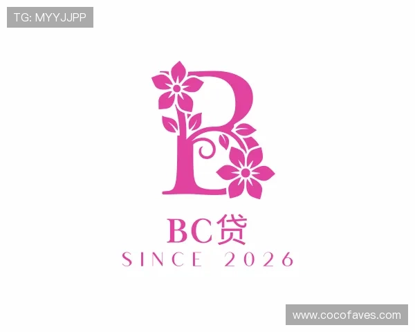 介绍bc贷